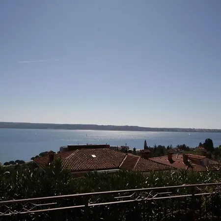 Kocevar Comfortable Πορτορόζ